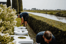 Schermafbeelding 2025-12-10 134048